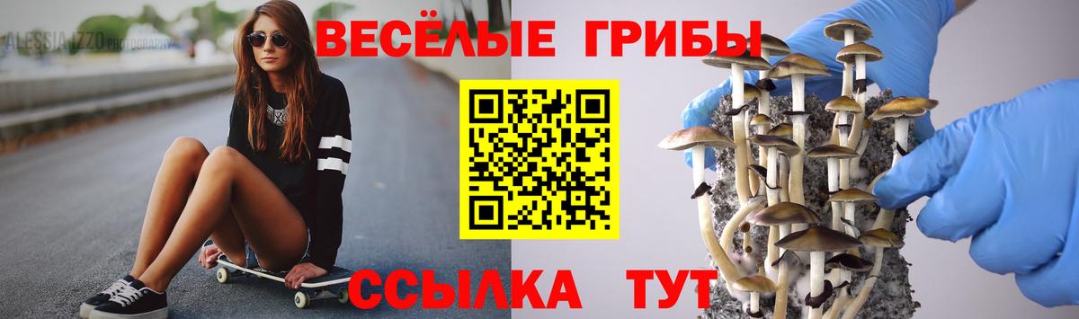 Карталы  Галлюциногенные грибы Psilocybine cubensis  Вход с VPN 
